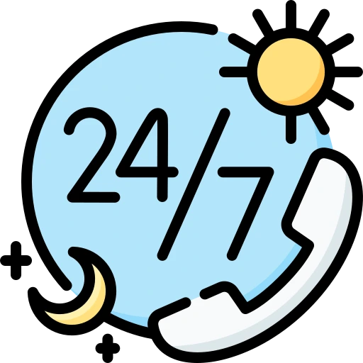 24/7 Expert Support