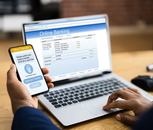 Domestic Money Transfer